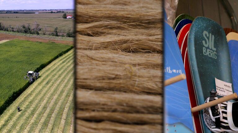 3 Bilder der Wertschöpfungskette von Hanf