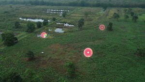 vlcsnap-2024-11-21-09h54m40s144