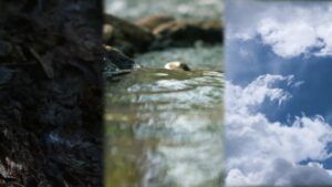 vlcsnap-2024-11-21-09h54m47s518