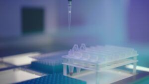 vlcsnap-2024-11-21-09h55m04s724