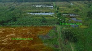 vlcsnap-2024-11-21-09h55m31s669