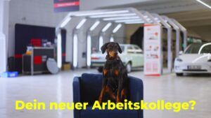 vlcsnap-2024-11-21-17h44m36s942