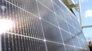 vlcsnap-2024-11-25-10h31m34s980